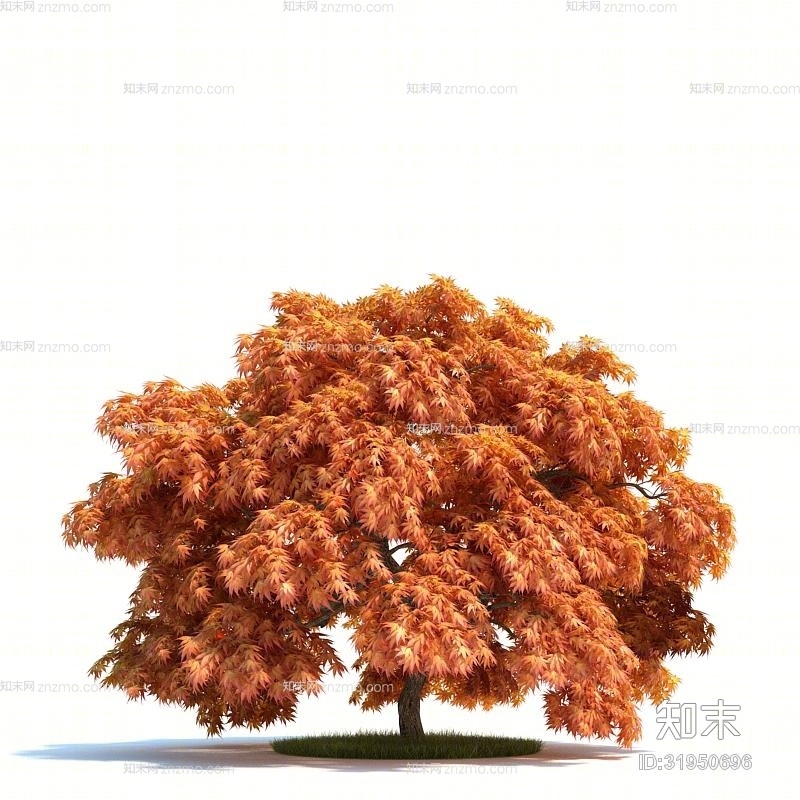 褐色景观树3D模型下载【ID:31950696】