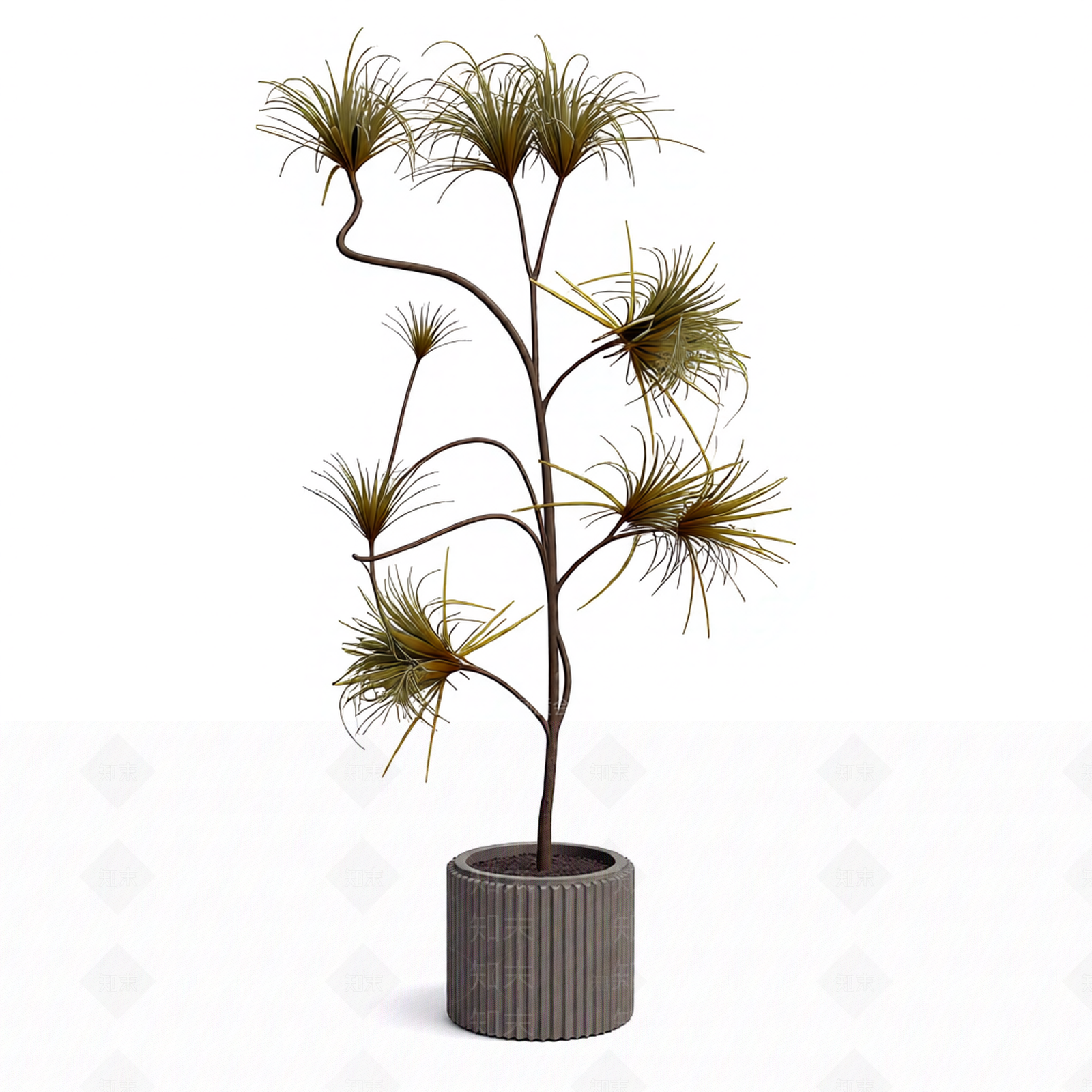 带盆多枝植物模型3D模型下载【ID:1206188055】