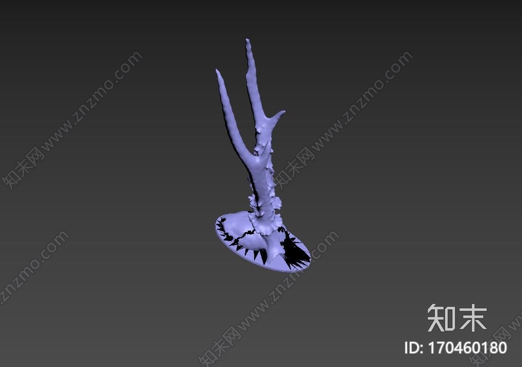 鹿头骨Roe_deer_on_plaque3d打印模型下载【ID:170460180】