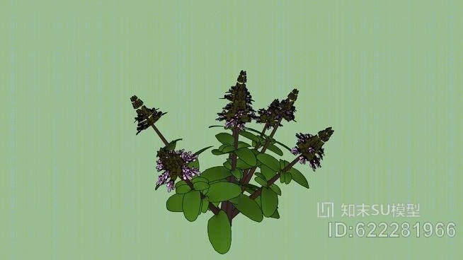 圣罗勒SU模型下载【ID:622281966】