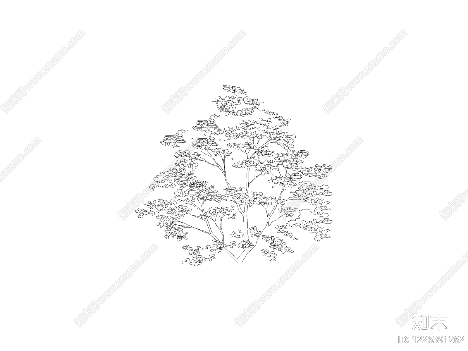 灌木种植CAD图纸