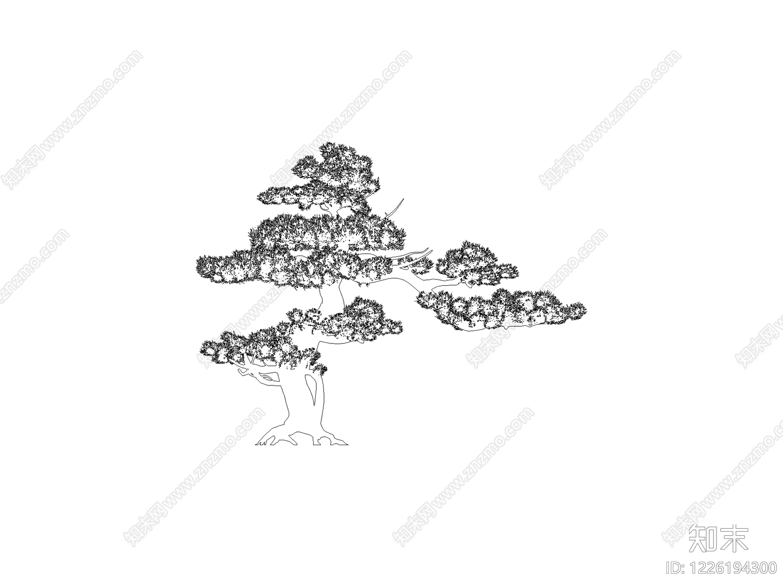 新中式,中式乔木种植CAD图纸