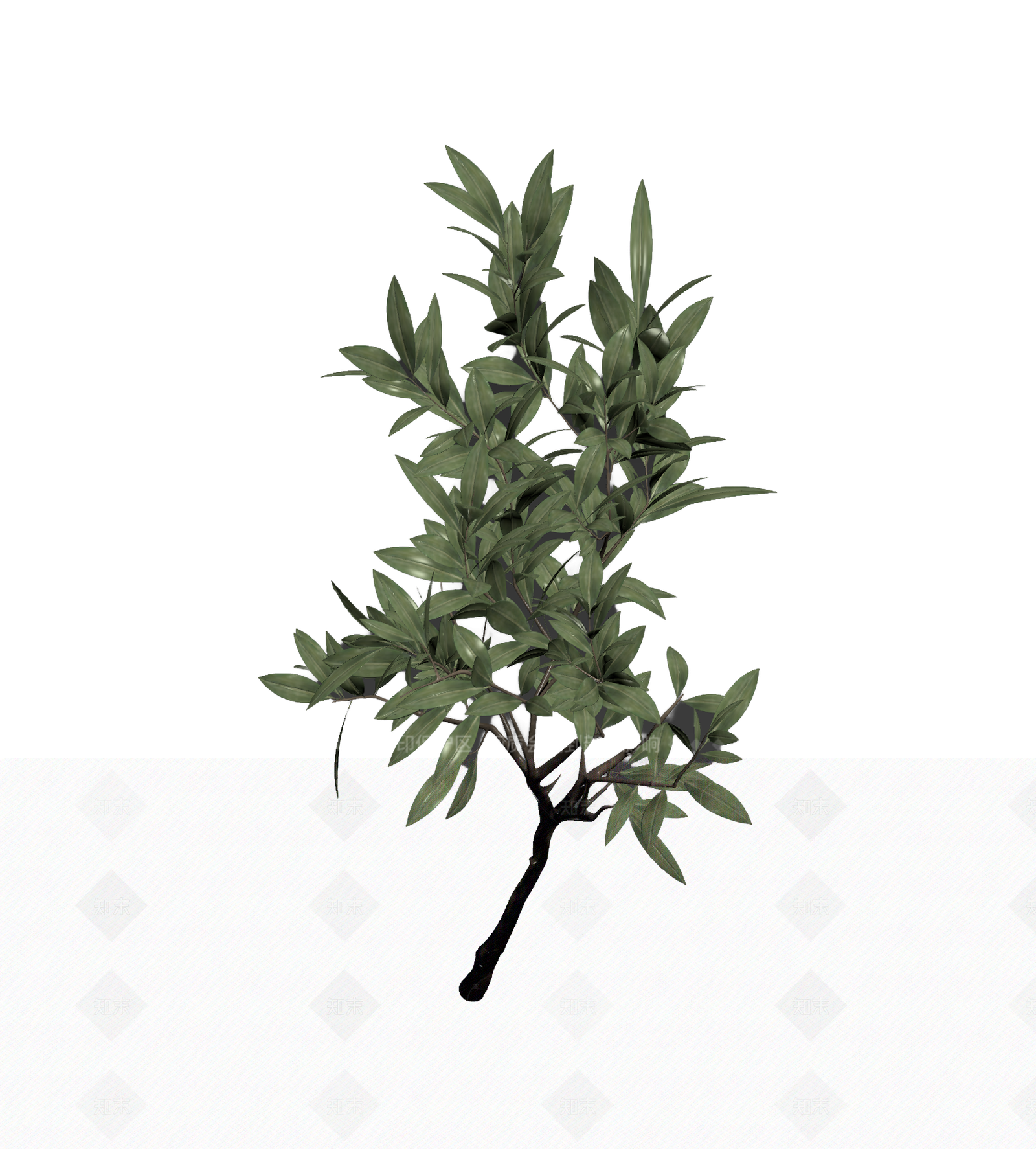 带枝叶的植物模型3D模型下载【ID:1206192570】