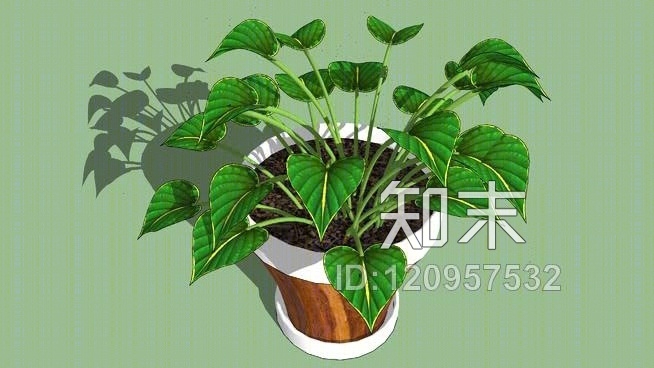 室内植物SU模型下载【ID:120957532】