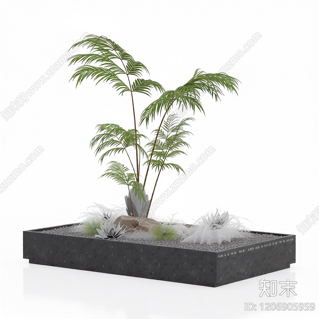 盆栽蕨类植物组合3D模型下载【ID:1206905959】