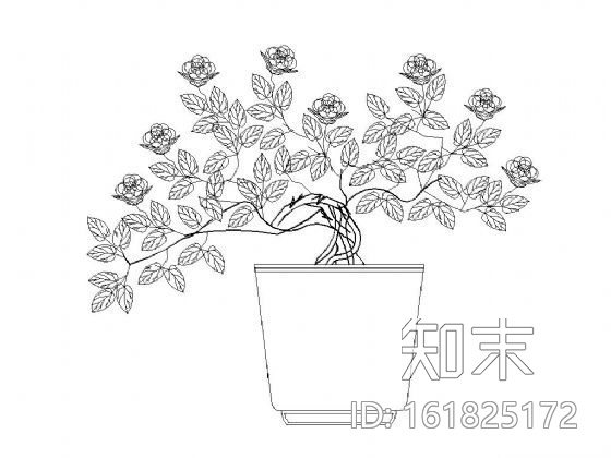盆景植物图块集施工图下载【ID:161825172】