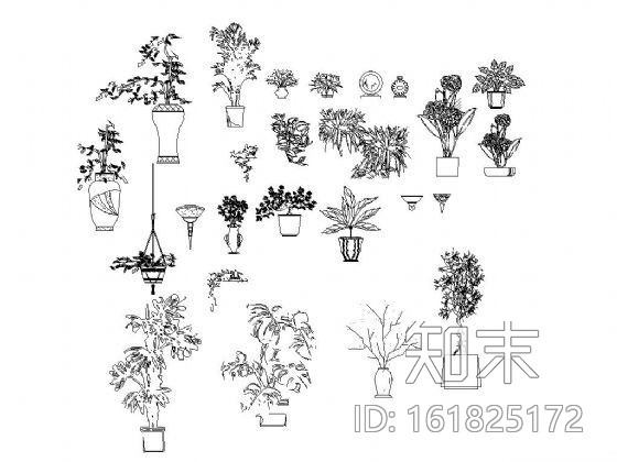 盆景植物图块集cad施工图下载【ID:161825172】