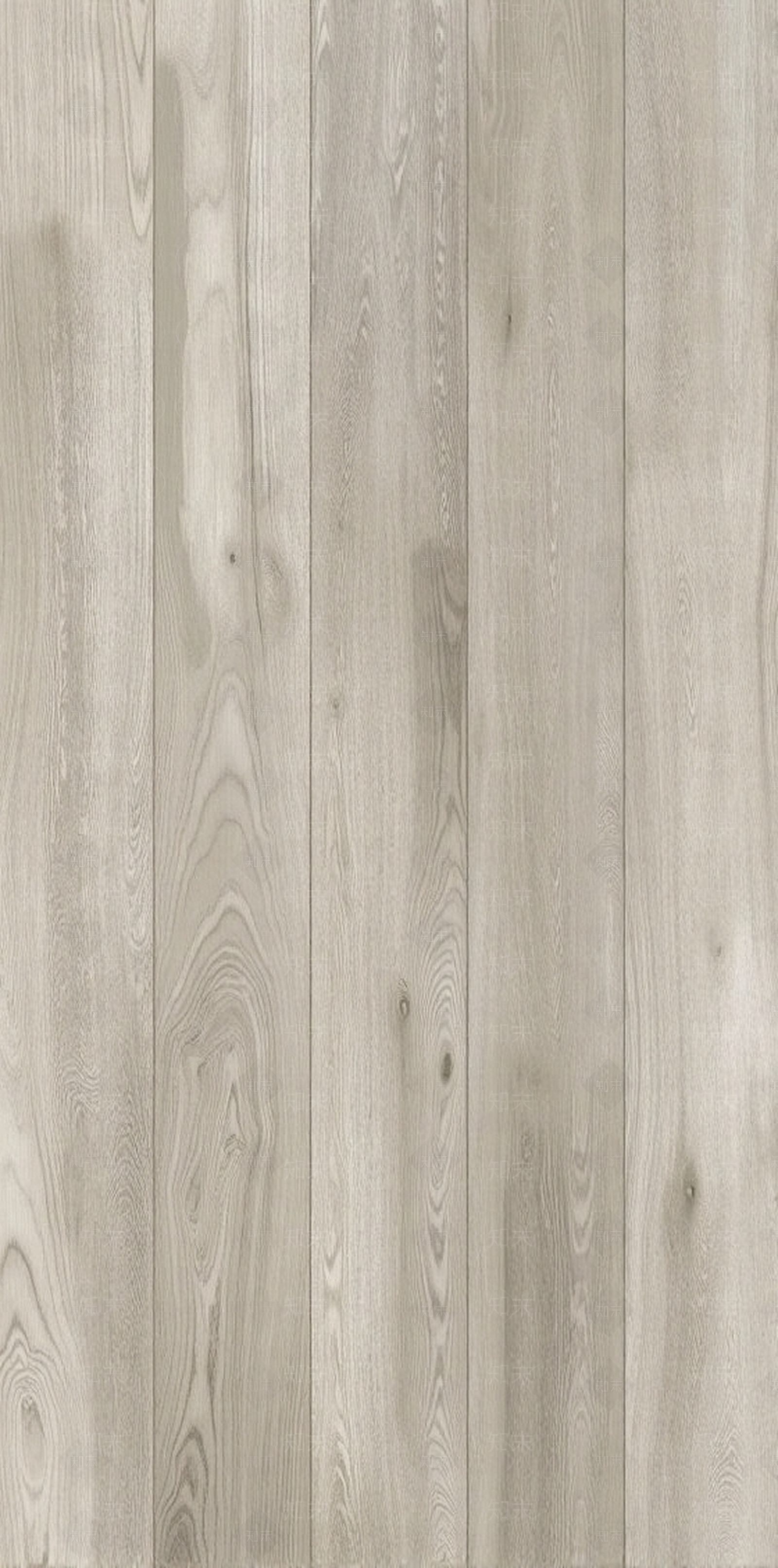 浅色木地板贴图下载【ID:1195323735】