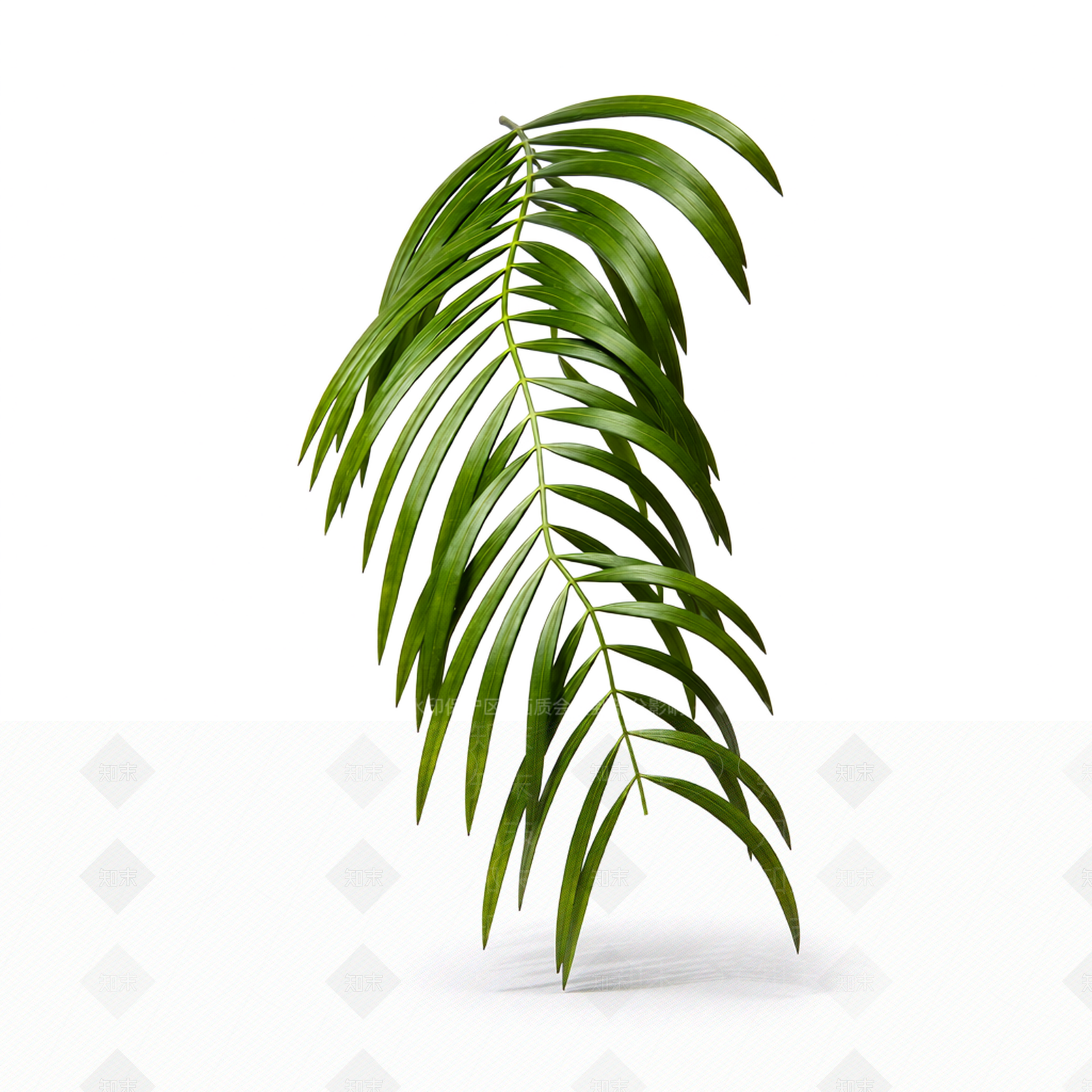 绿色植物枝叶模型3D模型下载【ID:1206191129】