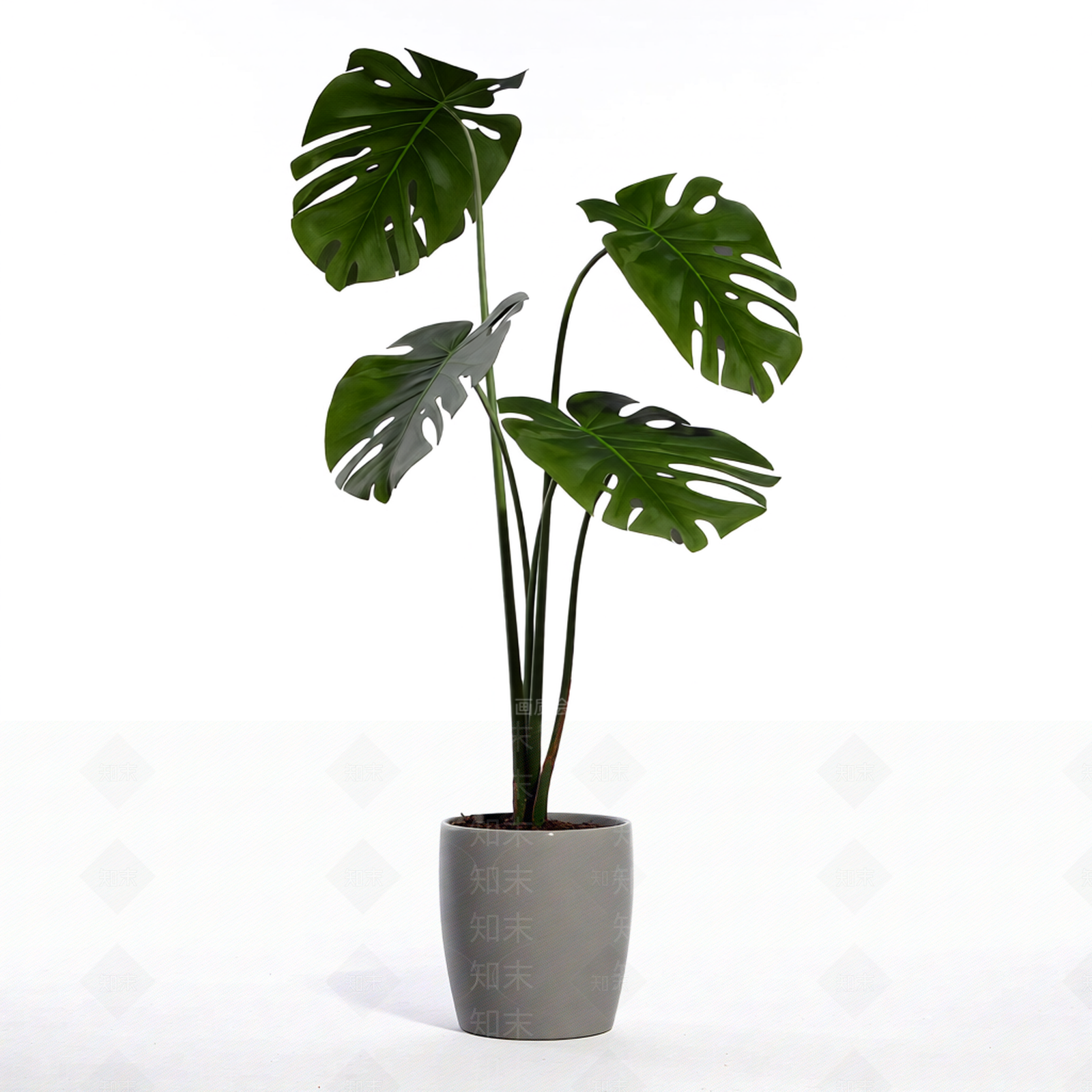 带盆绿植盆栽3D模型下载【ID:1206189433】