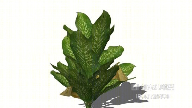 草SU模型下载【ID:47726806】