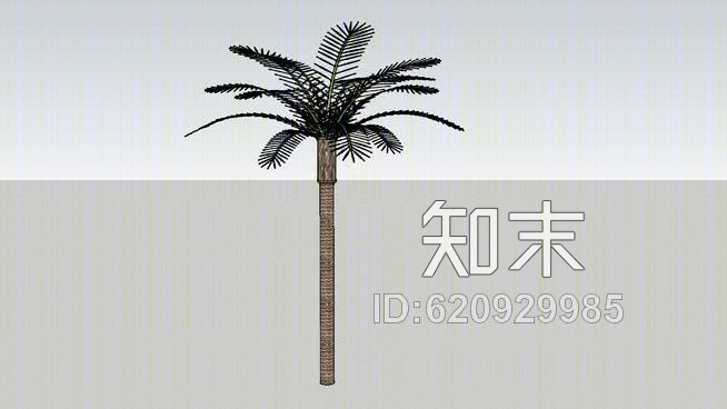 棕榈树SU模型下载【ID:620929985】