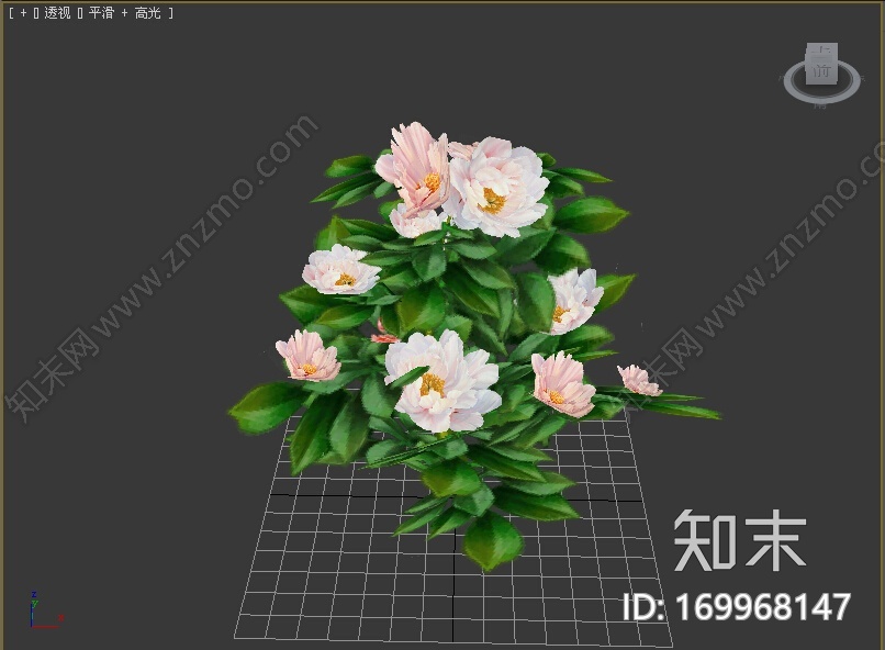 茶花模型CG模型下载【ID:169968147】