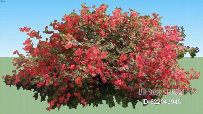木瓜属SU模型下载【ID:622043945】
