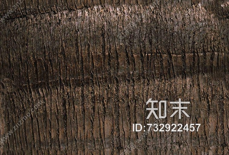 其他杂项-植物纹理贴图下载【ID:732922457】