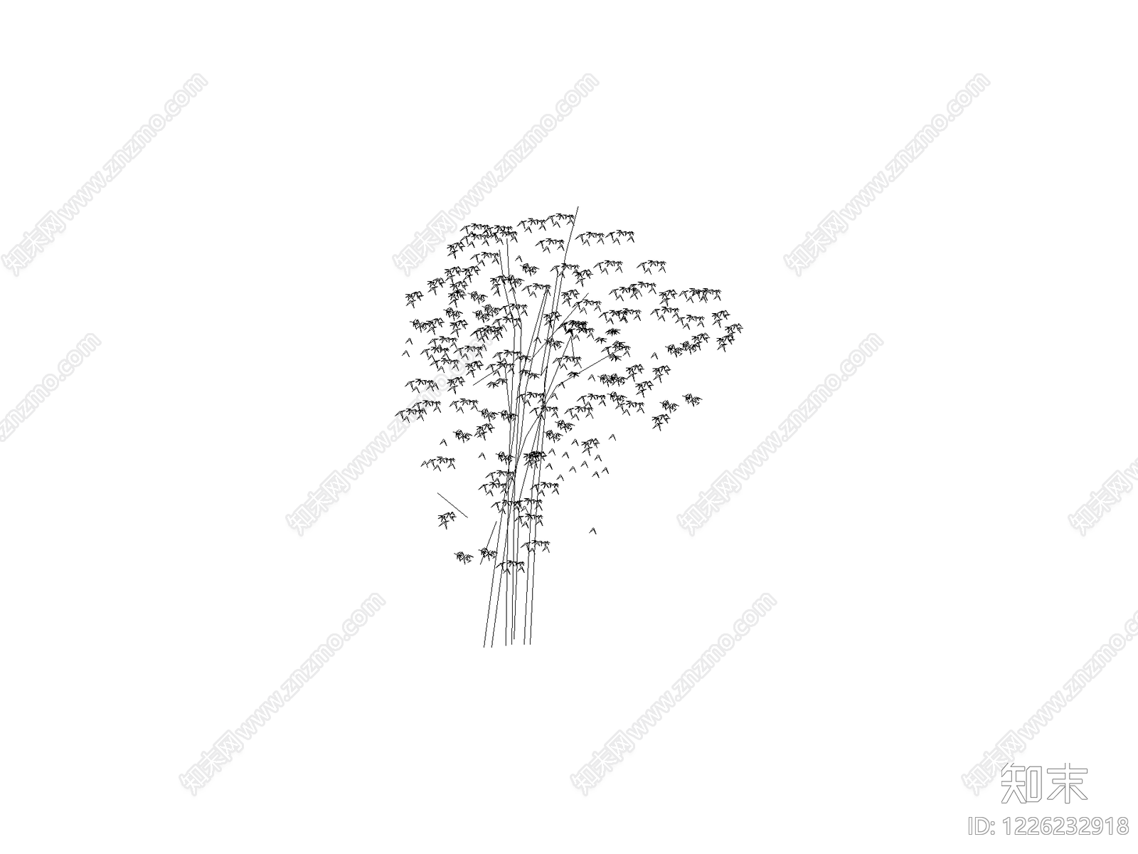现代乔木种植CAD图纸