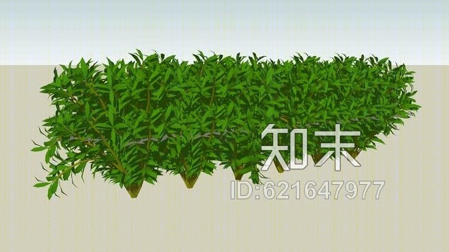 竹群SU模型下载【ID:621647977】