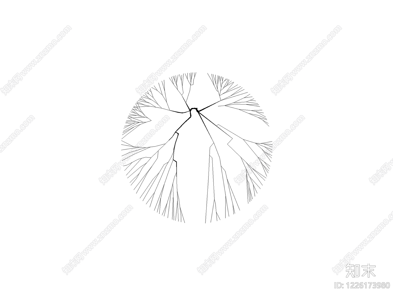 乔木种植CAD图纸