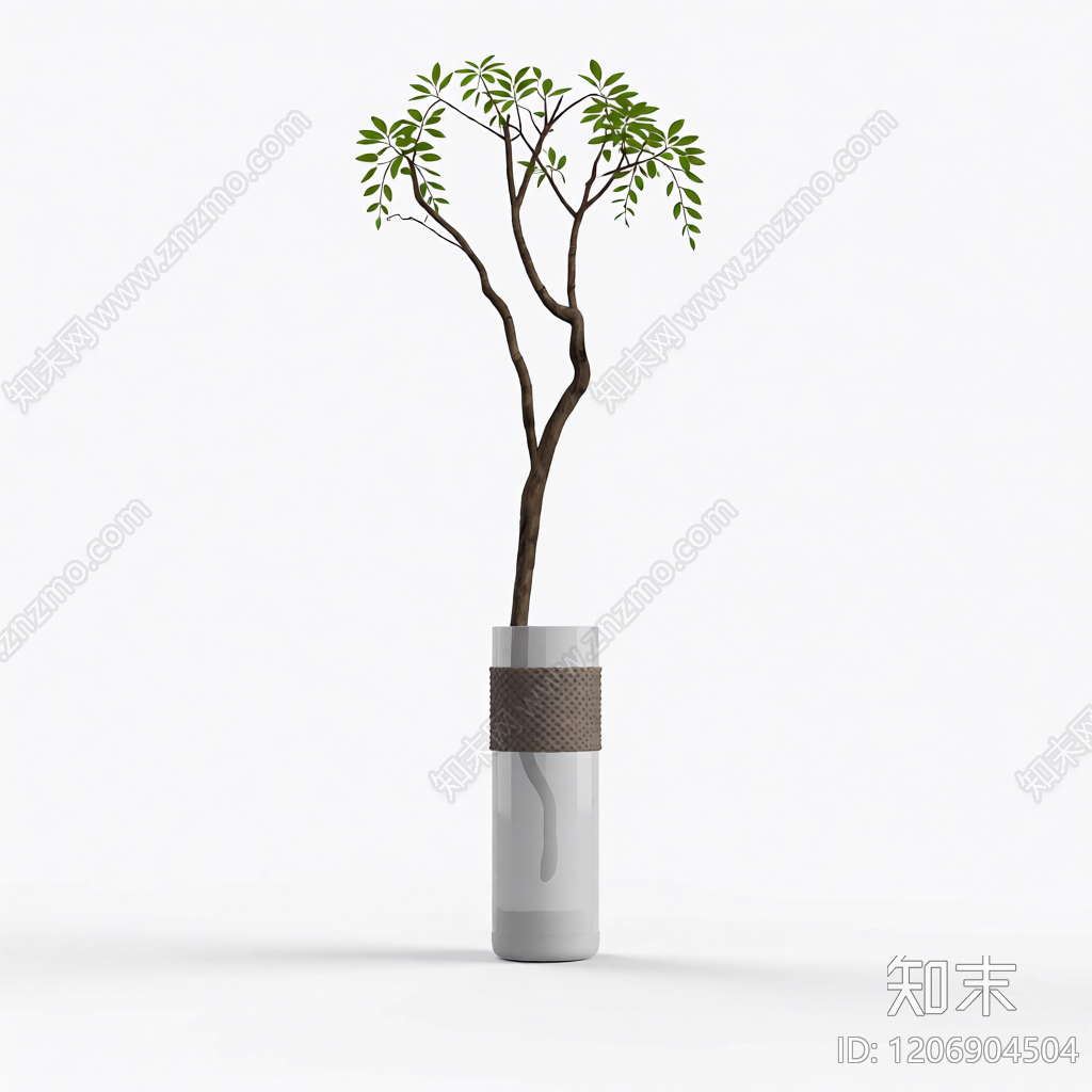 盆栽植物装饰3D模型下载【ID:1206904504】