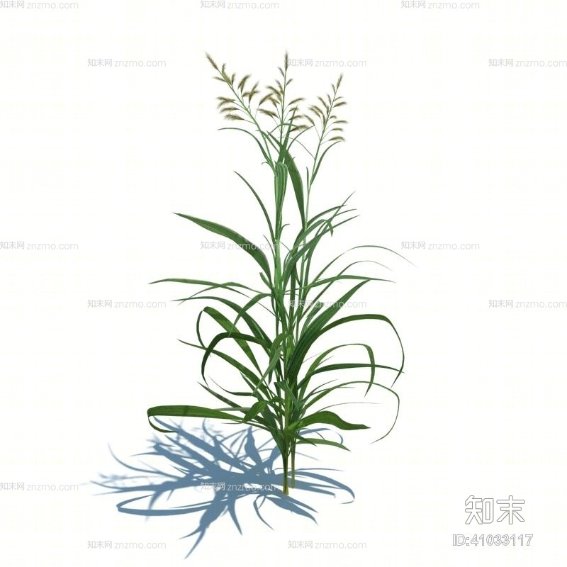 绿色草3D模型下载【ID:41033117】