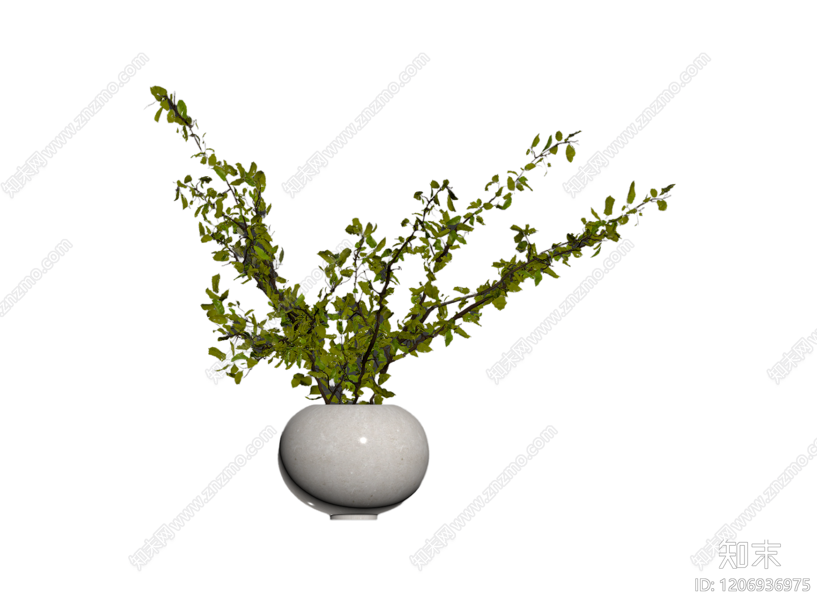 盆栽植物装饰3D模型下载【ID:1206936975】