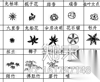 景观设计常用植物平面图例施工图下载【ID:161797148】