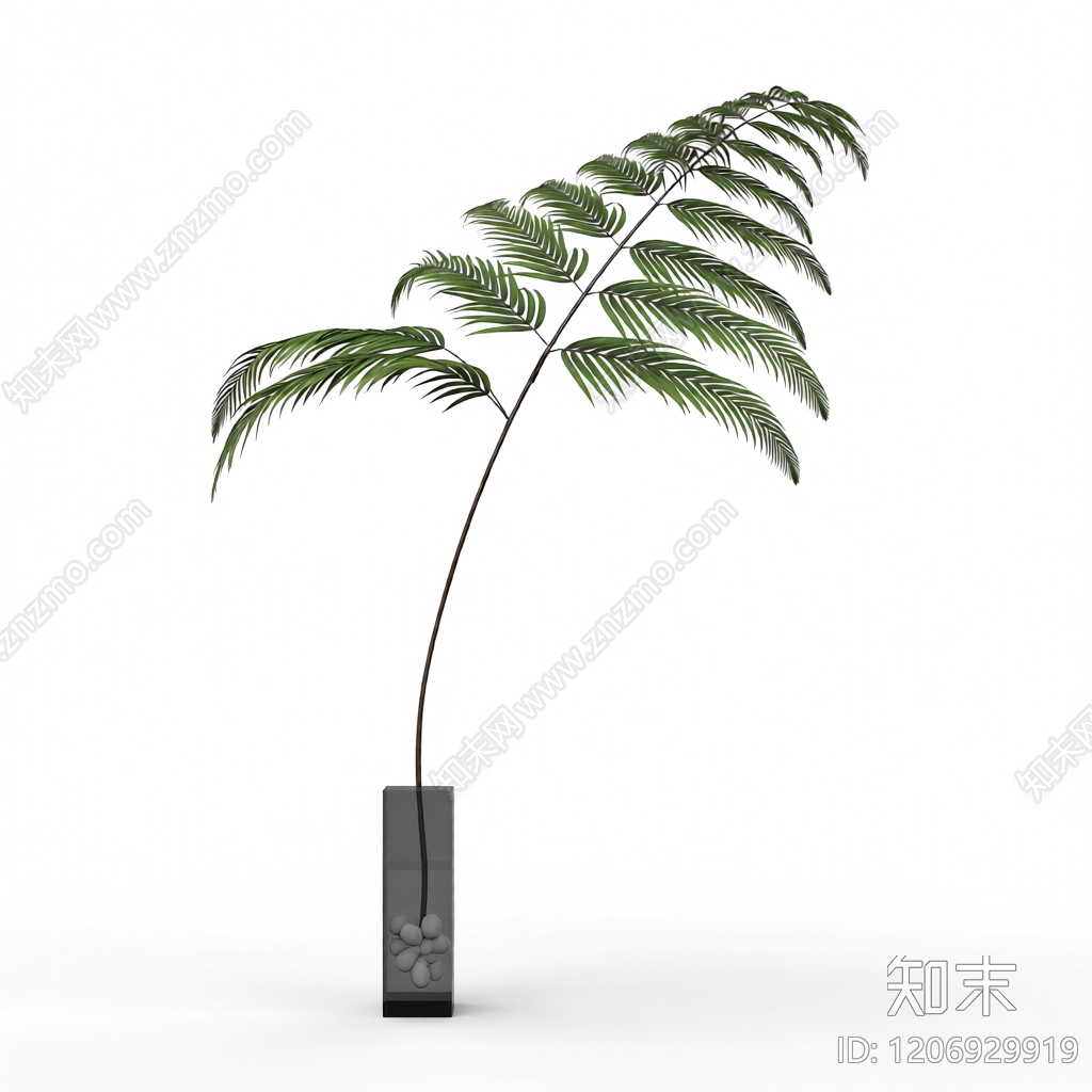 盆栽植物模型3D模型下载【ID:1206929919】