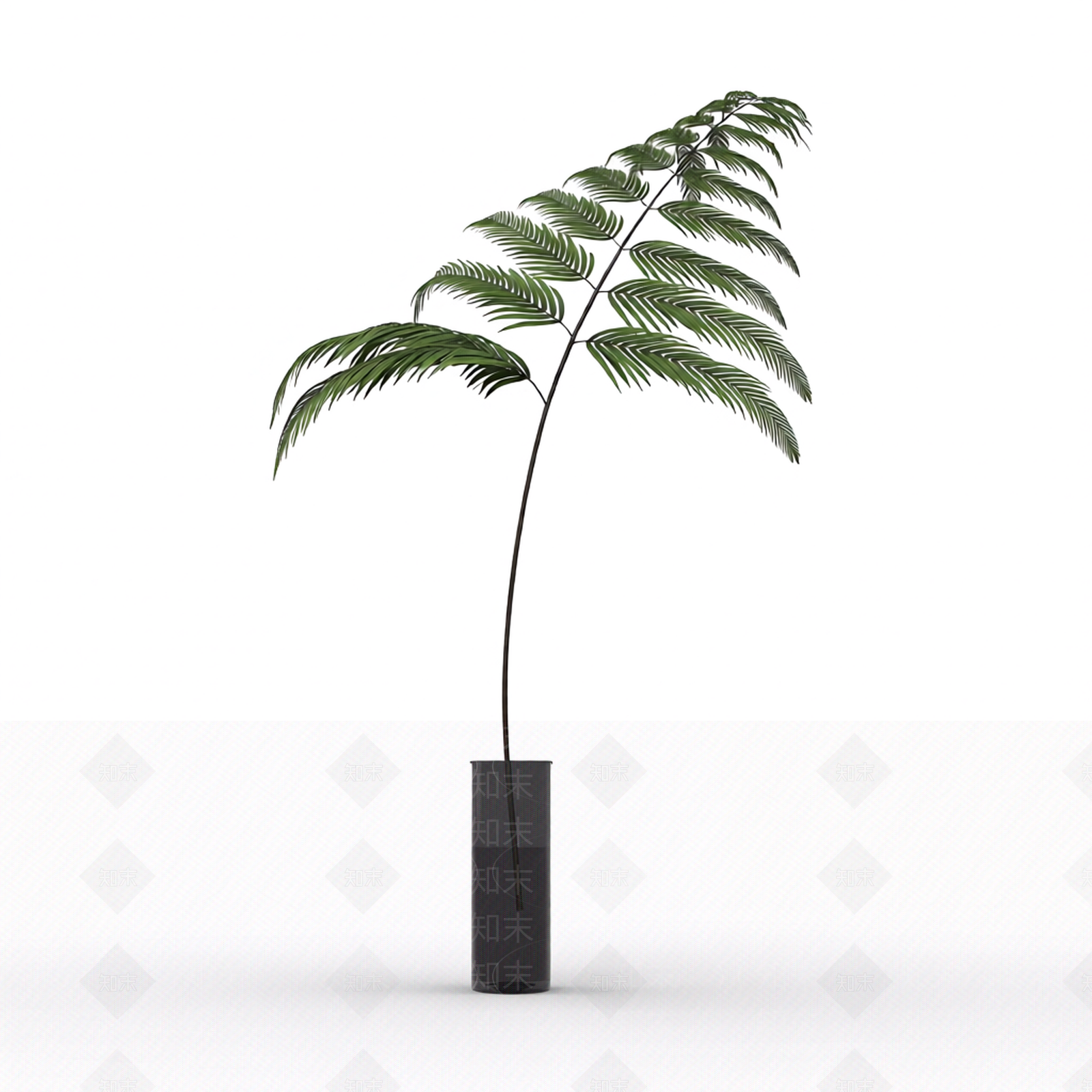 带盆蕨类盆栽3D模型下载【ID:1206195971】