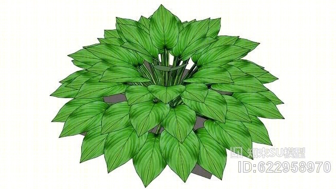 蒙大纳玉簪SU模型下载【ID:622958970】