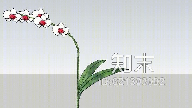 兰花SU模型下载【ID:621303992】