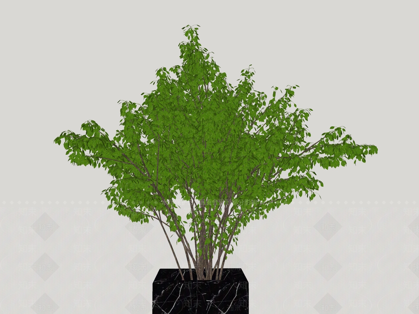 室外植物模型SU模型下载【ID:135057681】