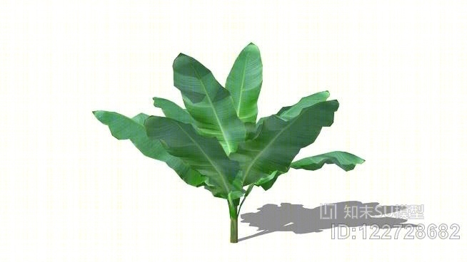 香蕉树02SU模型下载【ID:122728682】