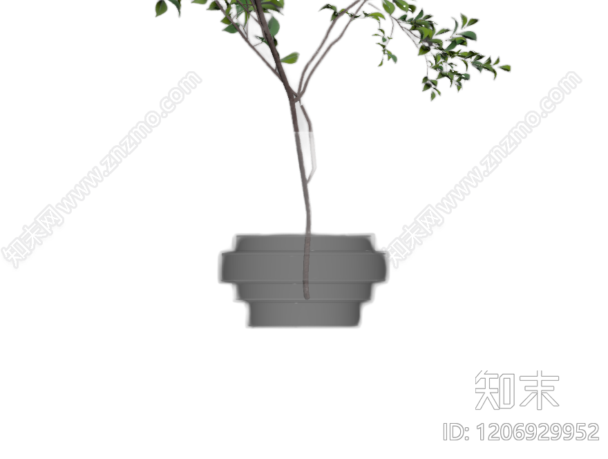 盆栽植物模型3D模型下载【ID:1206929952】