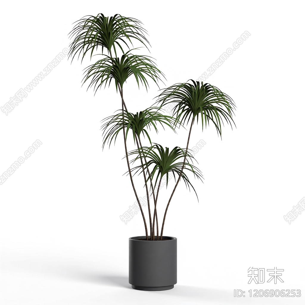 盆栽植物组合3D模型下载【ID:1206906253】