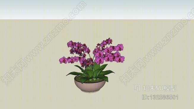 莲花17号SU模型下载【ID:132586501】