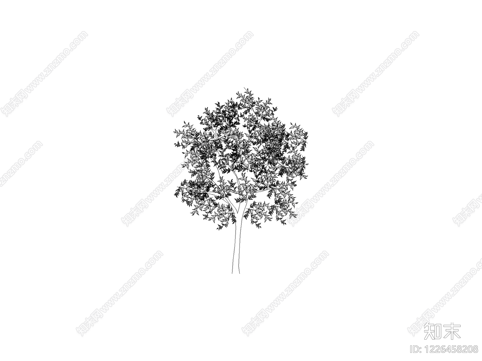 乔木种植CAD图纸