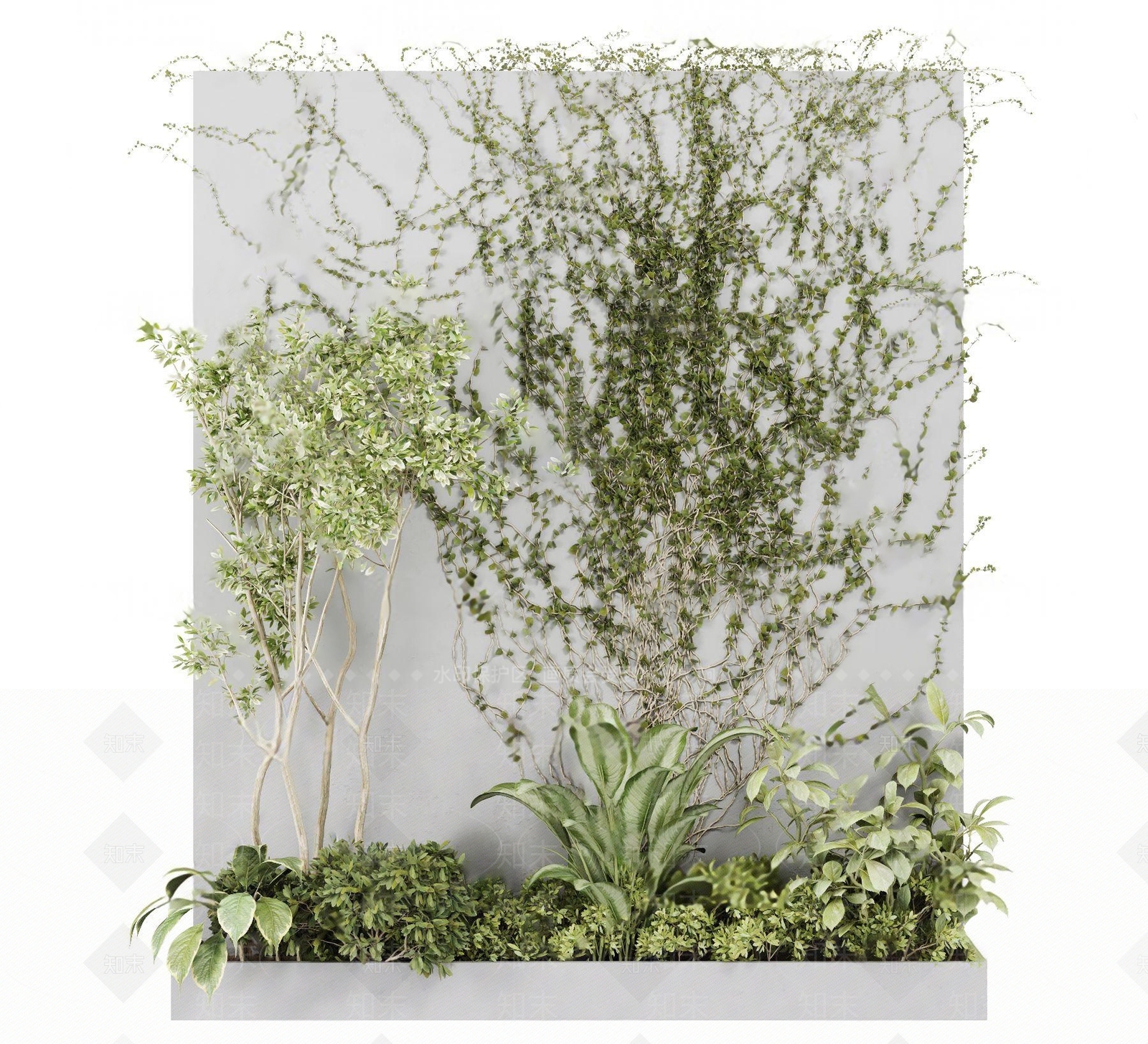 绿植藤蔓3D模型下载【ID:1115143956】
