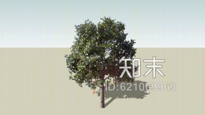 植物二维SU模型下载【ID:621069963】