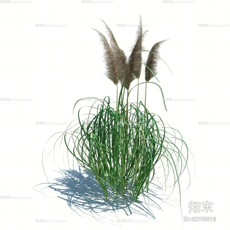 绿色草3D模型下载【ID:42700518】