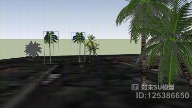 椰子树在希尔顿大酒店附近SU模型下载【ID:125386650】