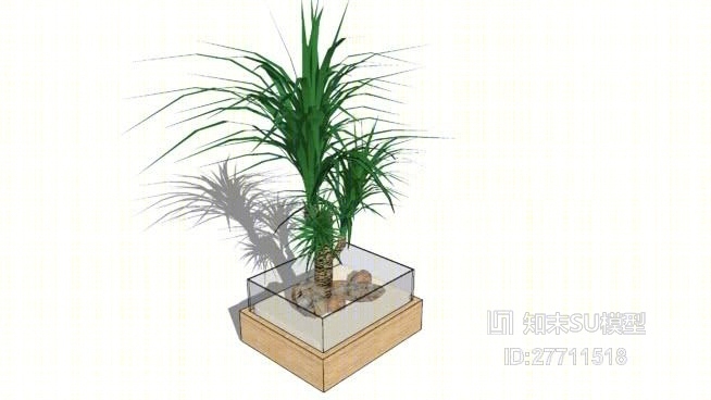 盆栽SU模型下载【ID:27711518】