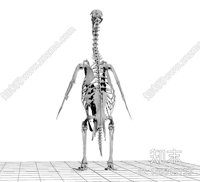 超精细CG模型下载【ID:169319133】