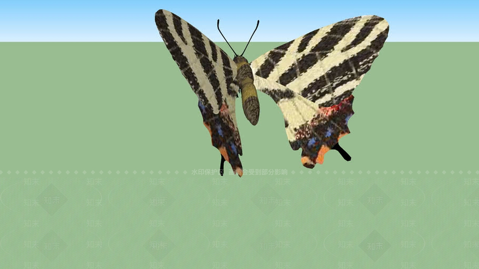 PapillonSU模型下载【ID:1162228376】