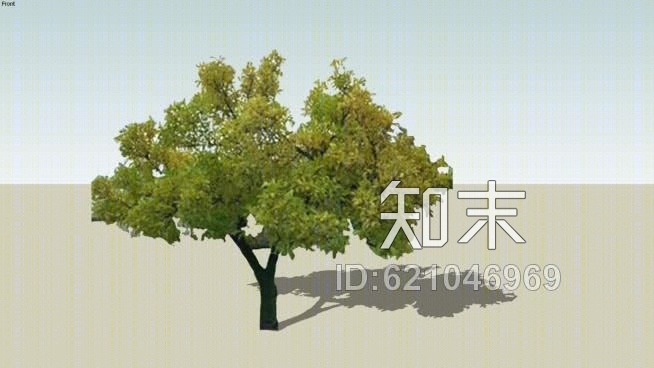 二维的植物SU模型下载【ID:621046969】