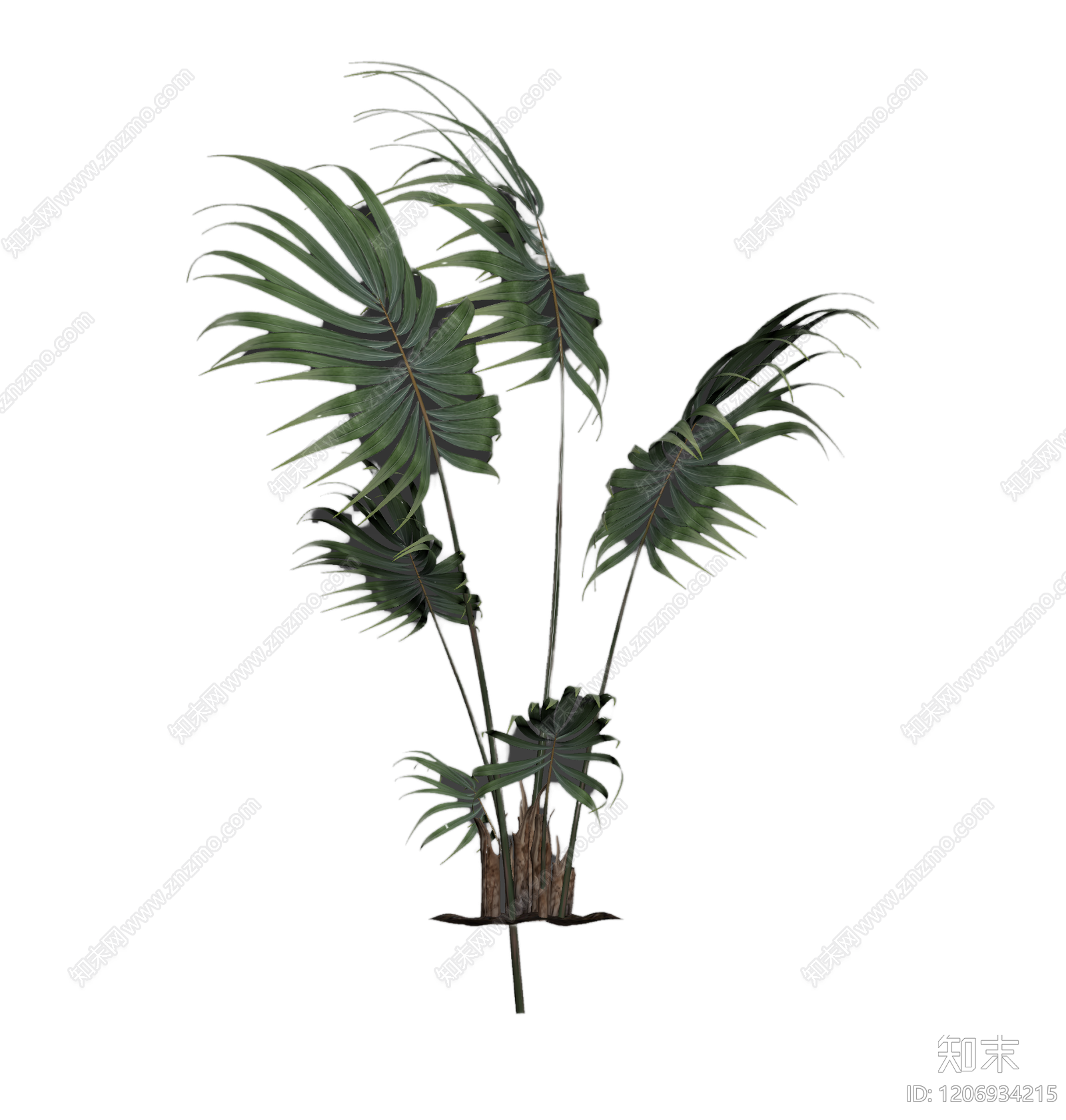 盆栽棕榈植物3D模型下载【ID:1206934215】