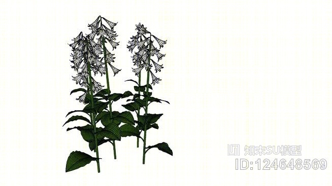 你好多花01SU模型下载【ID:124648569】