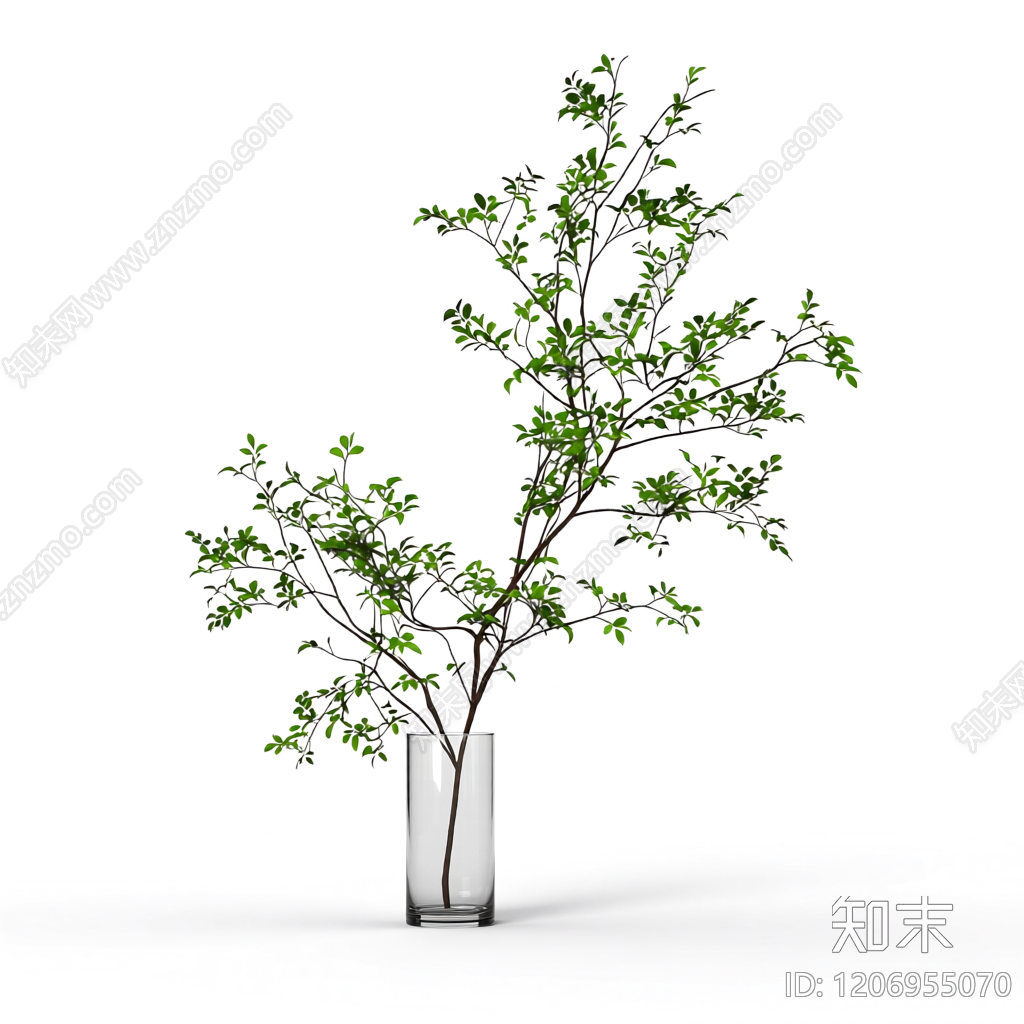 盆栽植物装饰3D模型下载【ID:1206955070】