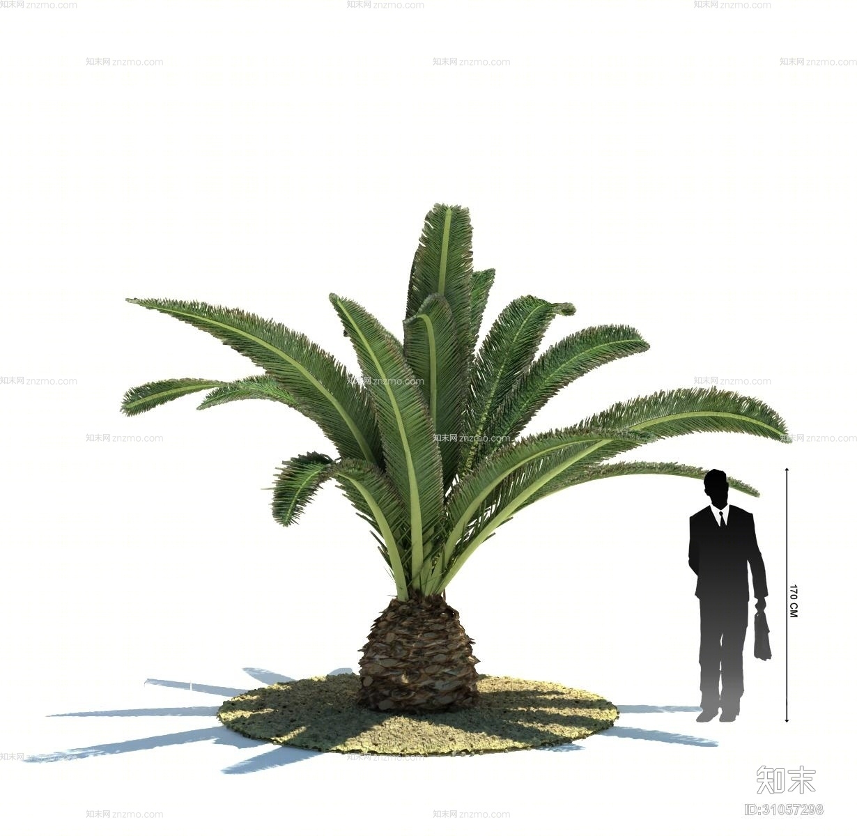 绿色景观树3D模型下载【ID:31057298】