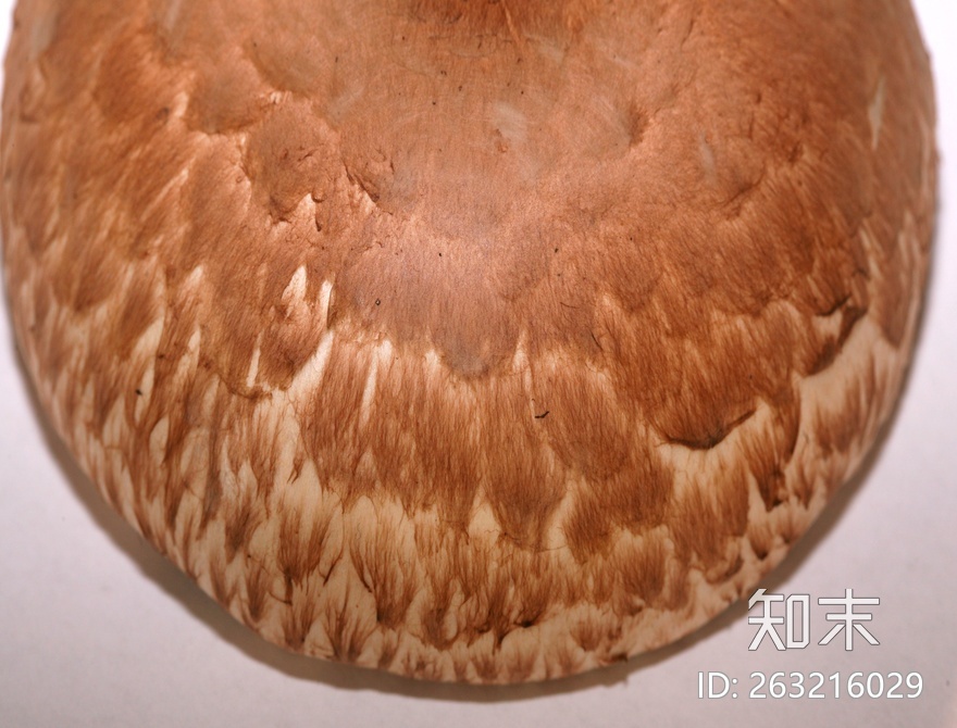 食物贴图下载【ID:263216029】