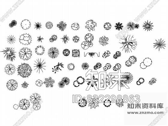 图块/节点室内外绿植CAD图块下载施工图下载【ID:832298863】